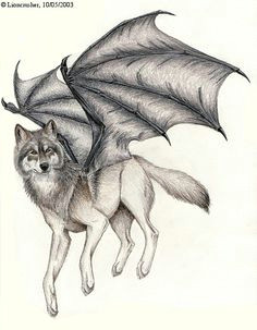dragon winged wolf by psychedeliczen