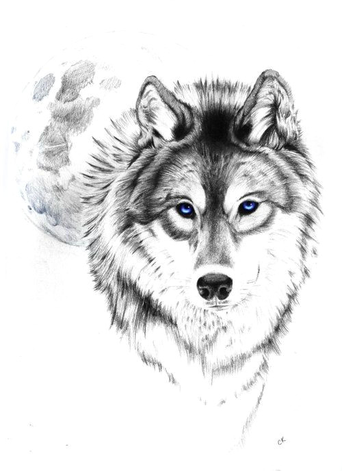 wolf tattoo tumblr