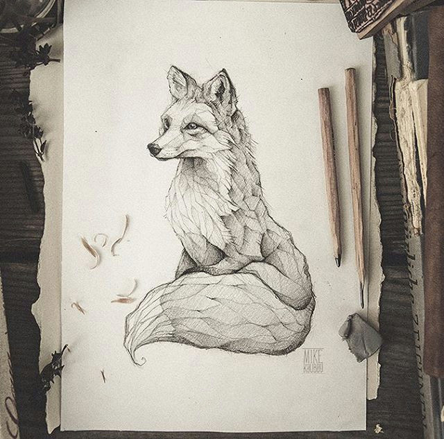 pencil drawing illustration art retro vintage old fox red fox vulpes animal abstract