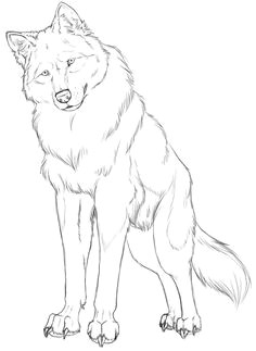 wolf linart