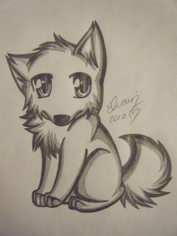 anime wolf drawing wolf drawing easy drawing tips drawing sketches painting