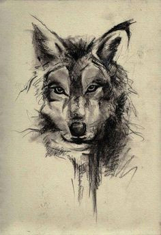 Wolf Drawing Black Paper 73 Amazing Wolf Tattoo Designs Ink Wolf Tattoos Tattoos Wolf