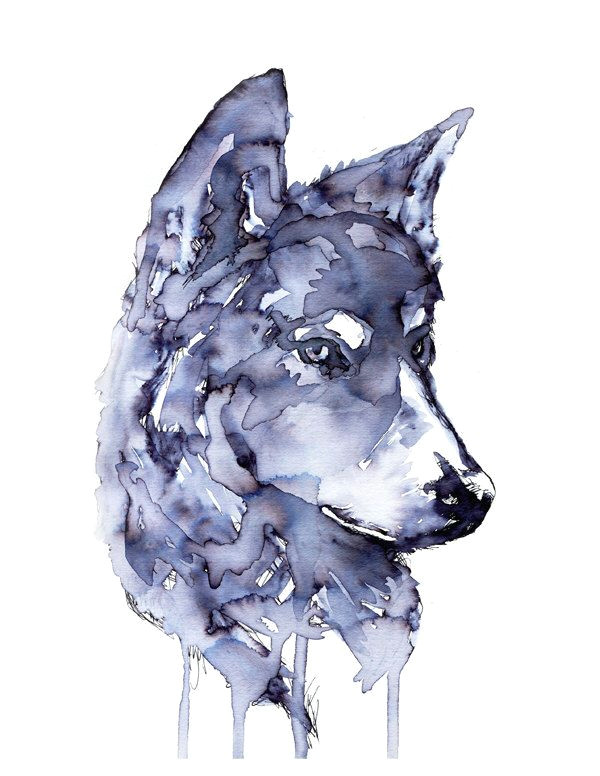 gray wolf painting original print ink art wolf art animal painting archival