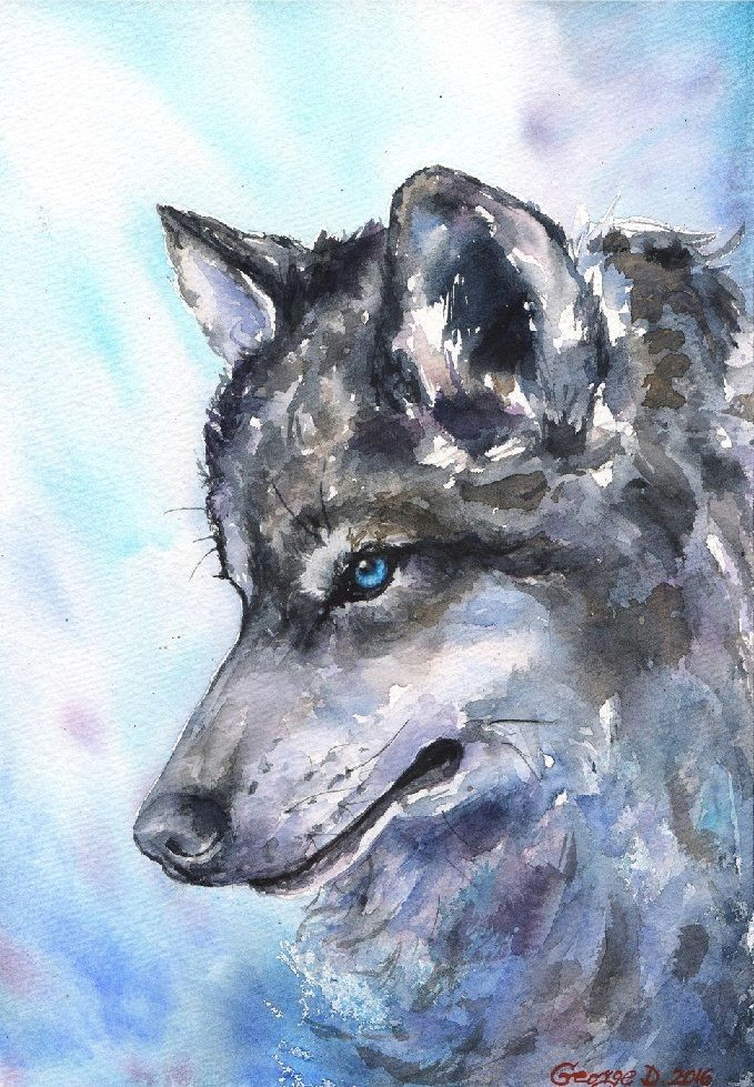 wolf north watercolor print of the original watercolor painting blue winter impressionism