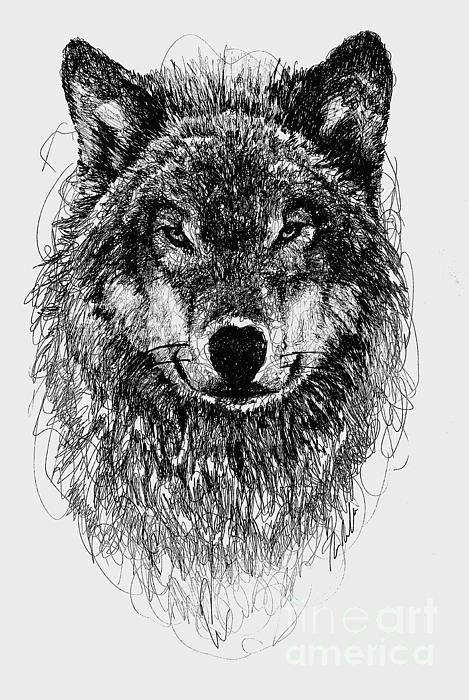 wolf scribble drawing