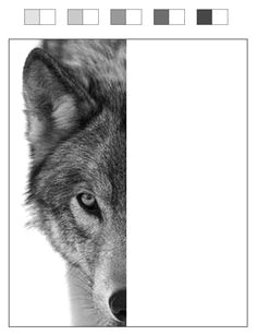 finish the wolf project template print it off and have kids test their shading in