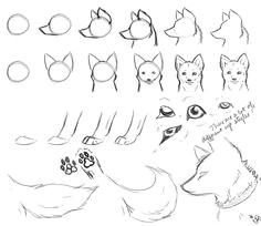 how to draw wolves part 2