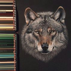 tattoos artsogram instagram photos and videos realistic drawings of animalspencil drawings of animalswolf