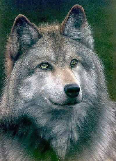 acrylic painting of a grey wolf