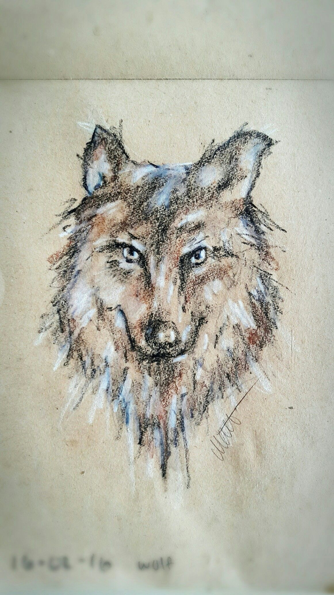 wolf drawing in crayons