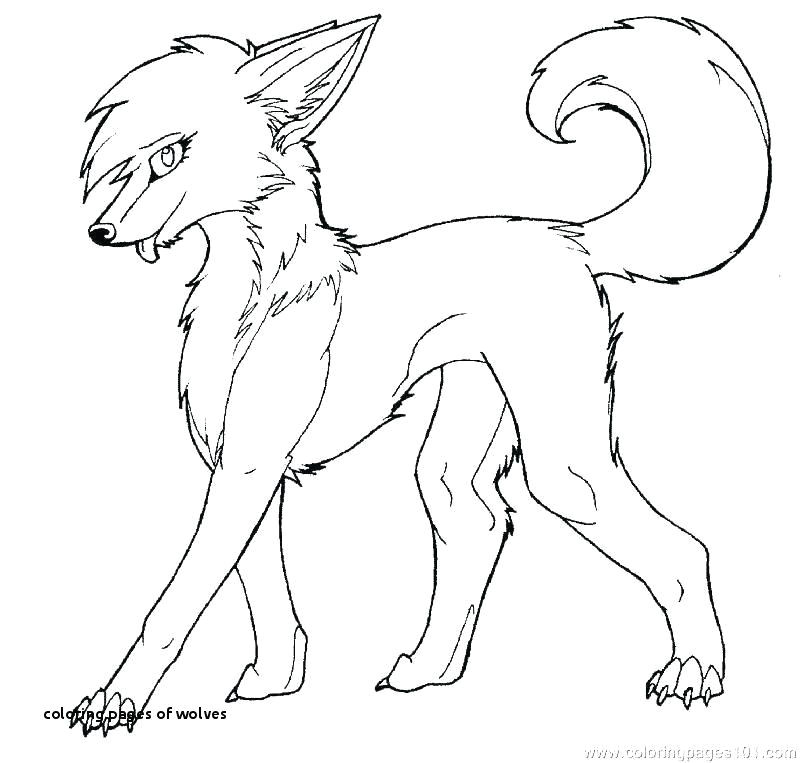 anime wolf coloring pages unique 24 coloring pages wolves of 10 luxury anime wolf coloring pages