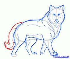 another one wolf character drawings all art painting art drawings drawing pics painting art sketches pictures wolves draw