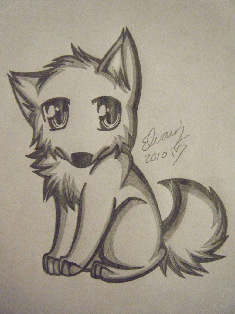 drawings of wolves wolf drawing 4 by animefan1863 on deviantart