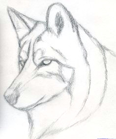 simple wolf sketch dog drawing easy simple wolf drawing easy realistic drawings super