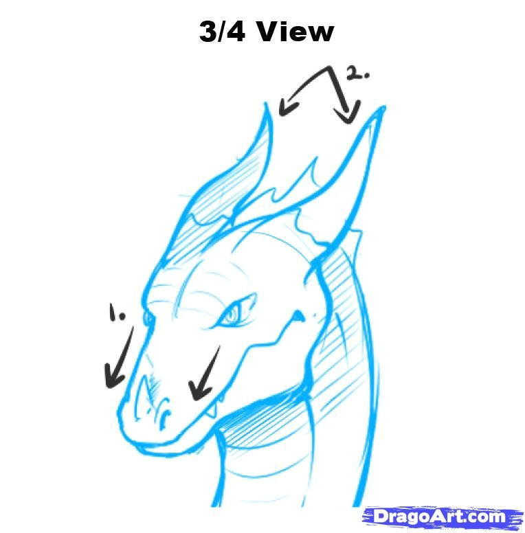 dragon head drawing front how to draw dragon heads step by step dragons draw a