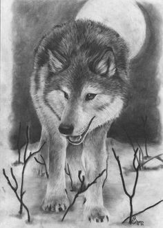 10 cool wolf drawings for inspiration ideastand cool wolf drawings amazing drawings