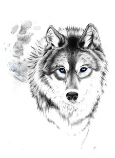 wolf drawing traum tattoos coole tattoos schafe tattoo engel tattoo vorlagen wolf