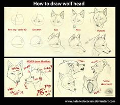 wolf head tutorial by nataliedecorsair deviantart com on deviantart furry art drawing