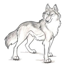 commission rugan cute animal drawingscool drawingswolf
