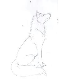 animal sketches animal drawings drawing sketches pencil drawings sketching wolf drawing easy drawing tips drawing ideas drawings of wolves