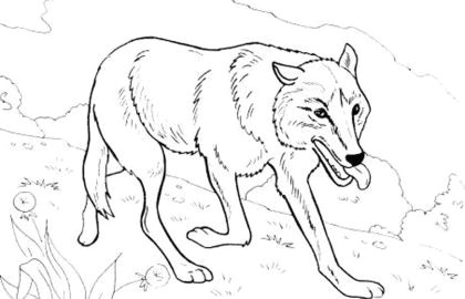 free difficult coloring pages best of s s media cache ak0 pinimg 736x af 0d 99 for