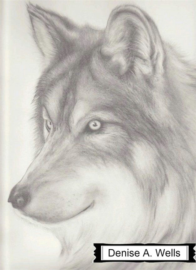 paper wolf drawing by denise a wells