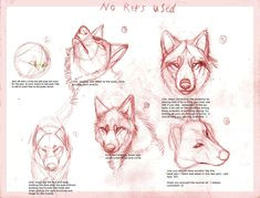 wolf drawing tutorial