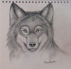 realistic wolf drawing mark crilley tutorial