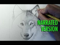 how to draw a wolf narrated