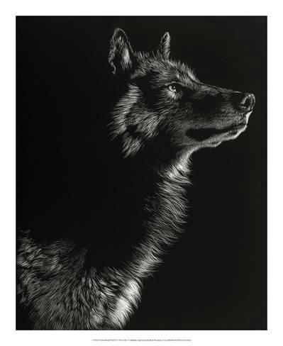 giclee print scratchboard wolf ii by julie chapman 22x18in