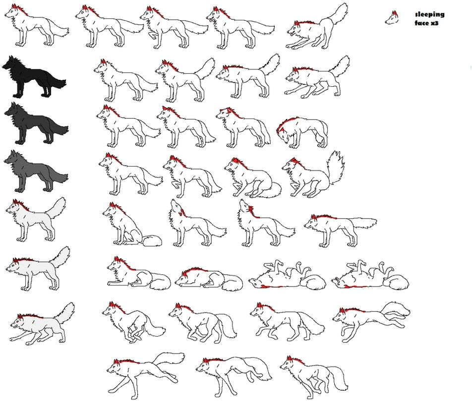 wolf positions