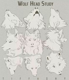 wolf drawings wolf head drawing anime wolf