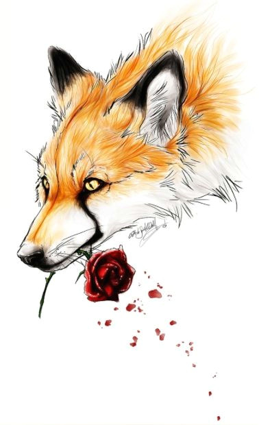 fox tattoo design tattoo designs wolf fox drawing fox art arte