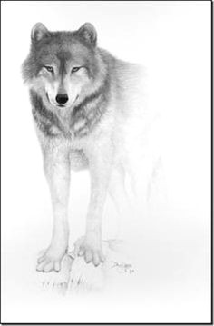 douglandis mouth art wolf face drawing pencil art animal drawings pencil drawings