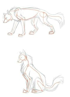 wolf poses of stand and sit