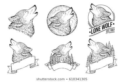 set vector illustrations of a howling wolves with ribbon engraving print for t