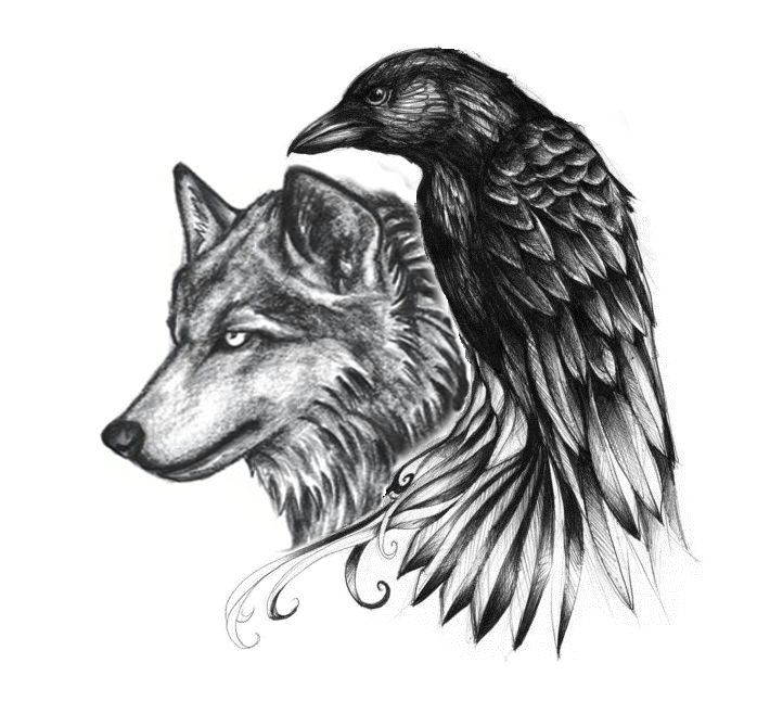 ravenwolf google search adelle leclair tattoos raven tattoo wolf tattoos