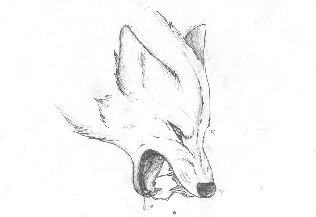 angry wolf by pandoraswolf on deviantart wolf eye drawing horror drawing angry wolf