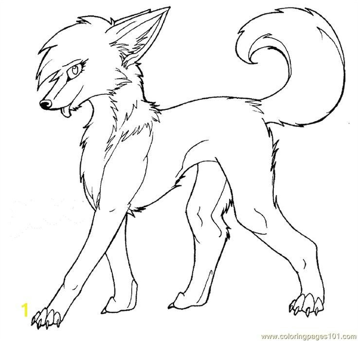 coloring pages wolfs