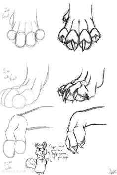 how to draw wolf paws
