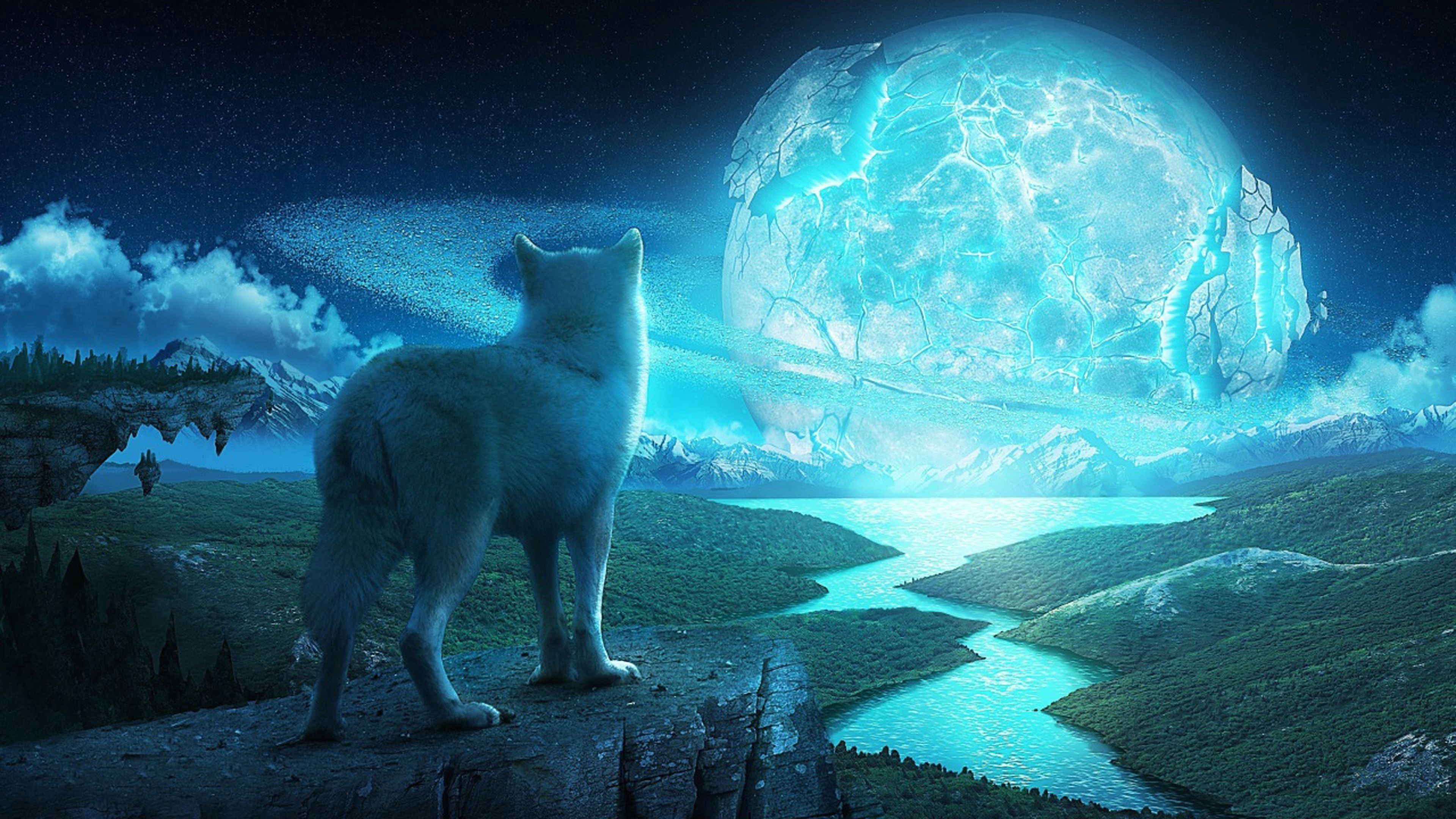 wolf in a fantasy world ultra hd 4k wallpaper