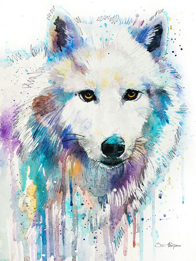 arctic wolf slavi aladjova fineartamerica com