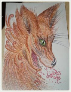 color pencil art colored pencils fox colouring pencils crayon drawings foxes