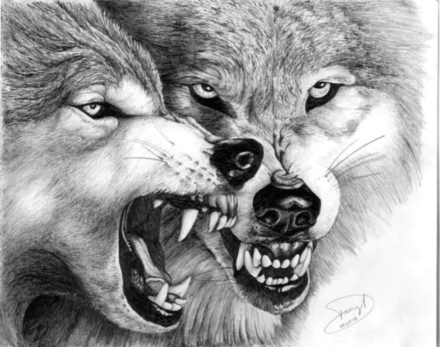 hungry wolfs