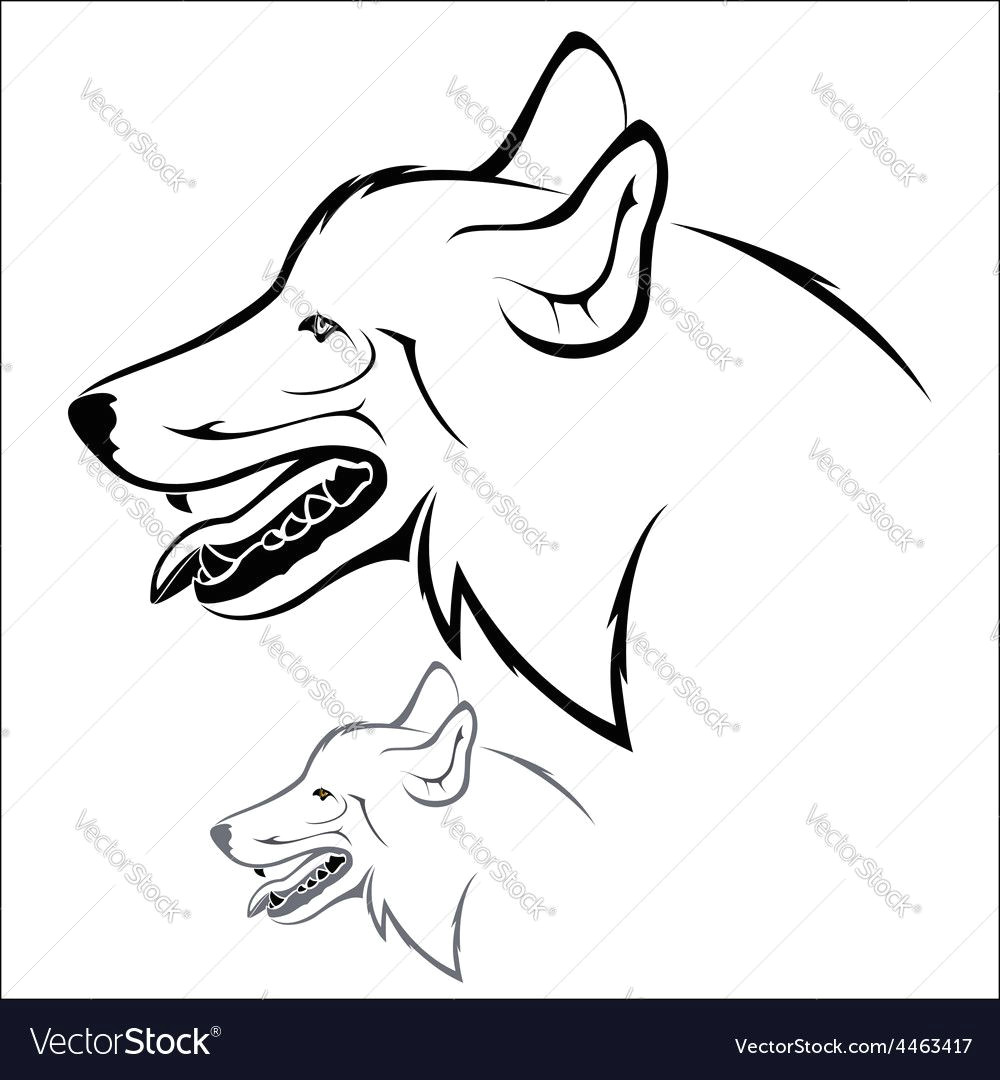 vector illustration wolf head on a white background download a free preview or high