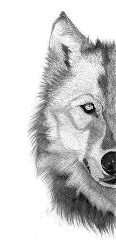 wolf tattoos liebe zeichnungen