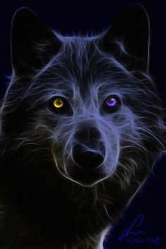 fractal wolf wolf hintergrundbild tier wallpaper anime wolf wolf bilder wolfspirit