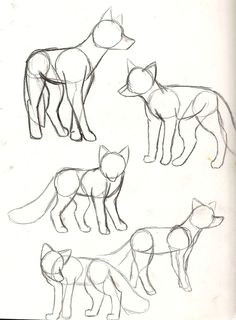 fox sketches hund zeichnen bilder zeichnen fuchs zeichnen wolf zeichnung aquarell malen