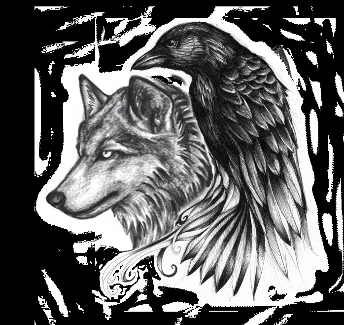 ravenwolf4 png 698a 658 viking tattoos celtic raven tattoo wolf