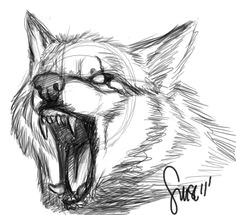 wolf growl sketch